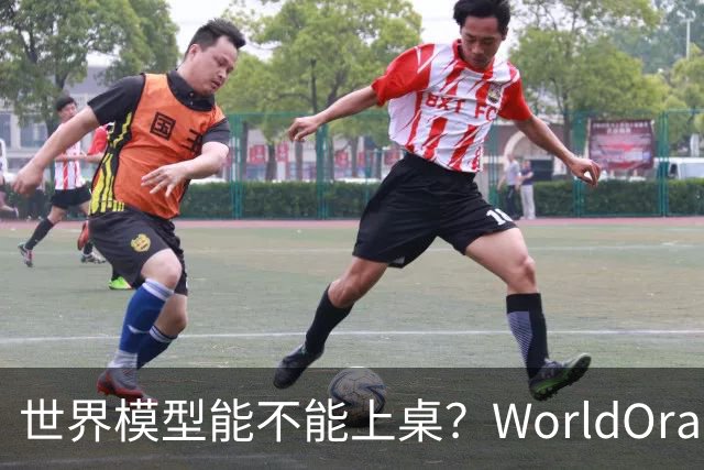 世界模型能不能上桌？WorldOracle给出了一场真实大考